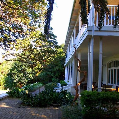 Coral Tree Colony Bed & Breakfast Southbroom Extérieur photo