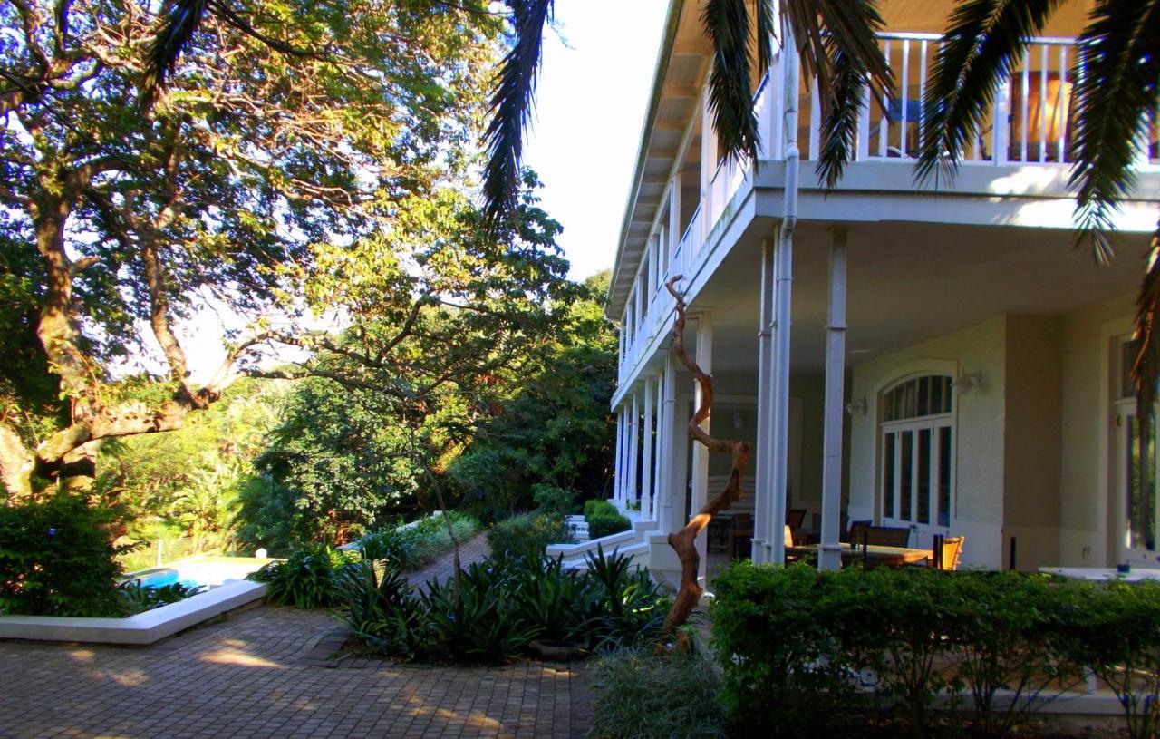 Coral Tree Colony Bed & Breakfast Southbroom Extérieur photo